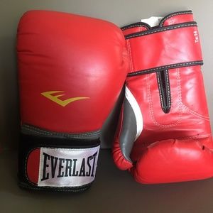 Everlast Pro Style Training Gloves 14oz